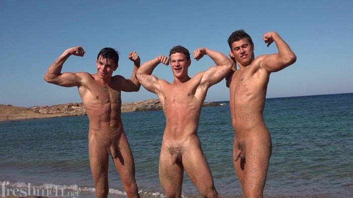 BelAmi Gay Porn Yannis Paluan Serge Cavalli Allan Aimee Freshmen 